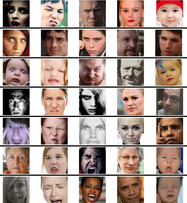 In-the-wild adult faces from the AffectNet dataset