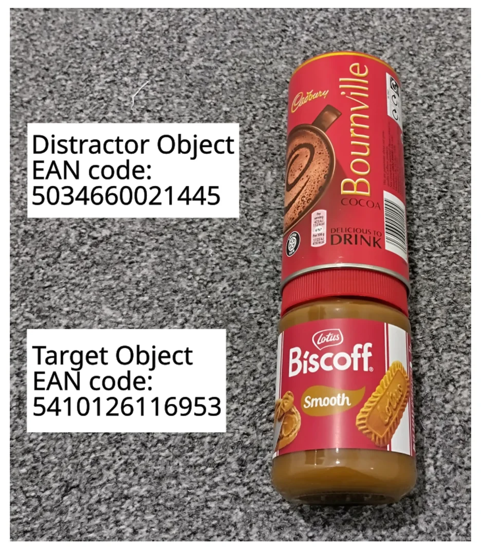 The target object beside a distractor of identical shape, size, and dominant color